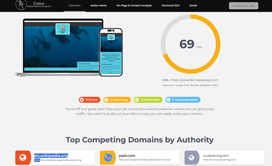 SEO Visibility